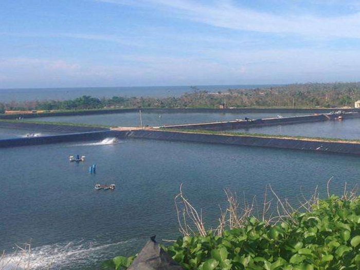 土工膜(養(yǎng)殖)